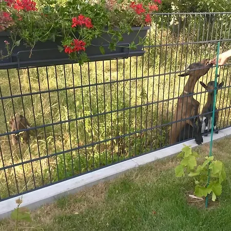 L'attrap'reves : Le Confort Hotelier, La Convivialite En Bed & Breakfast Ergersheim