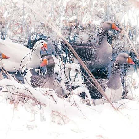 L'attrap'reves : Le Confort Hotelier, La Convivialite En 3* Ergersheim