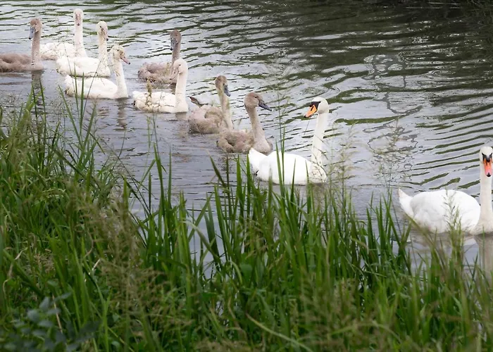 L'attrap'reves : Le Confort Hotelier, La Convivialite En Ergersheim